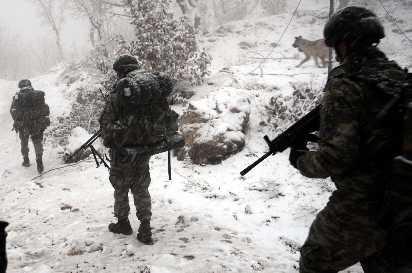 Komandolar, eksi 5 derecede terör operasyonunda