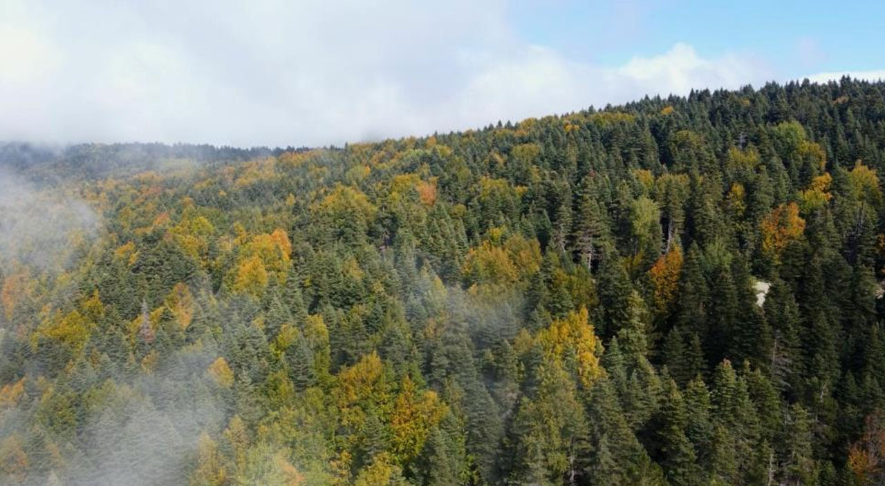 Uludağ için tehlike çanları çaldı: Su kaynakları tükenmek üzere