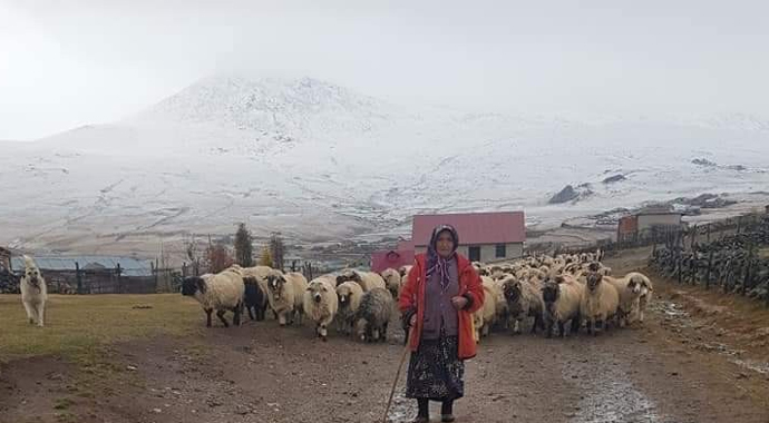 Ordu'da mevsimin ilk karı yaylaları beyaza bürüdü