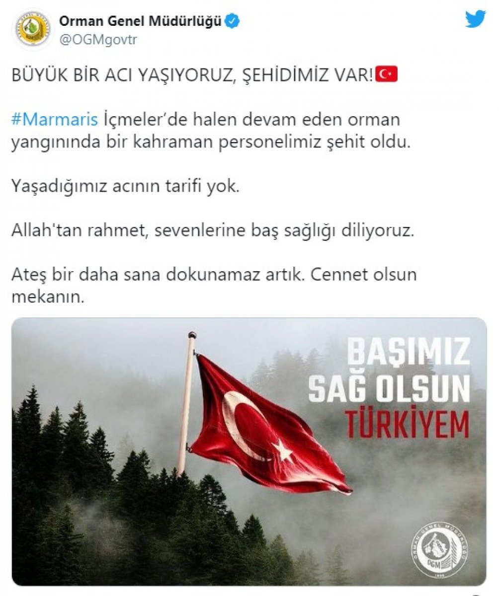 Marmaris'te orman yangını: 1 şehidimiz var