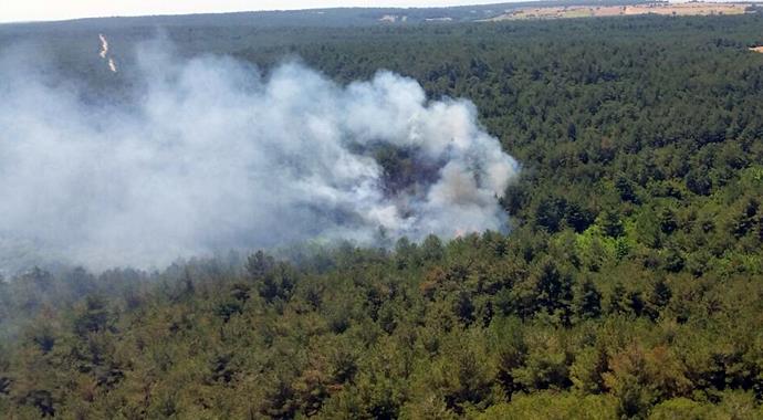 Çanakkale'de orman yangını