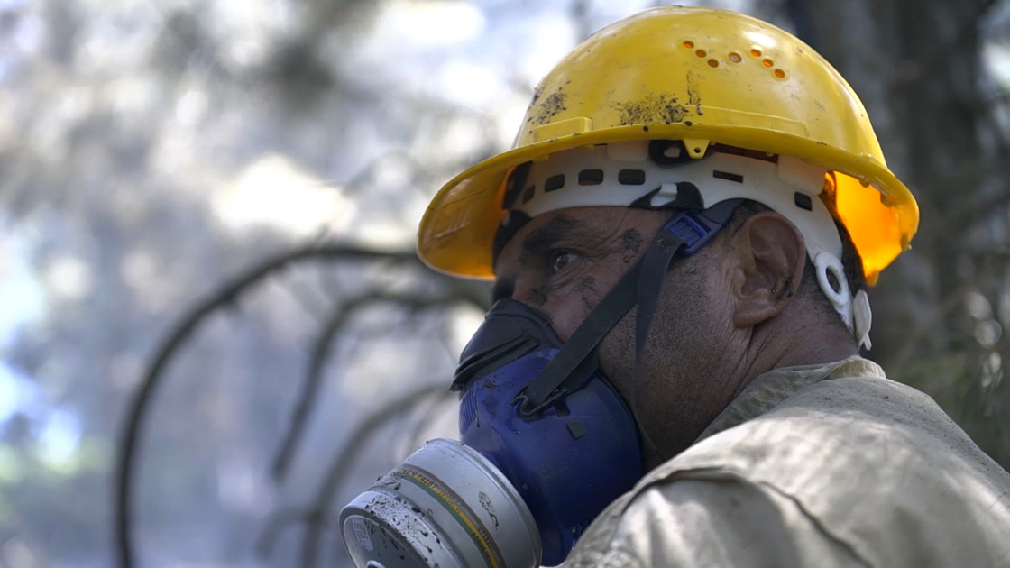 Ormanların fedakar kahramanları