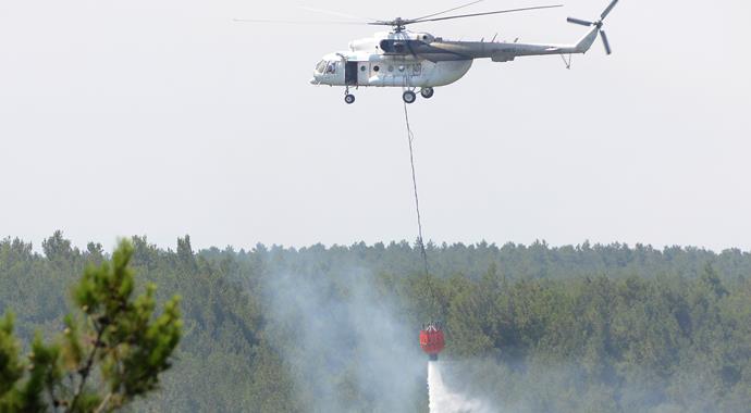 Çanakkale'de orman yangını