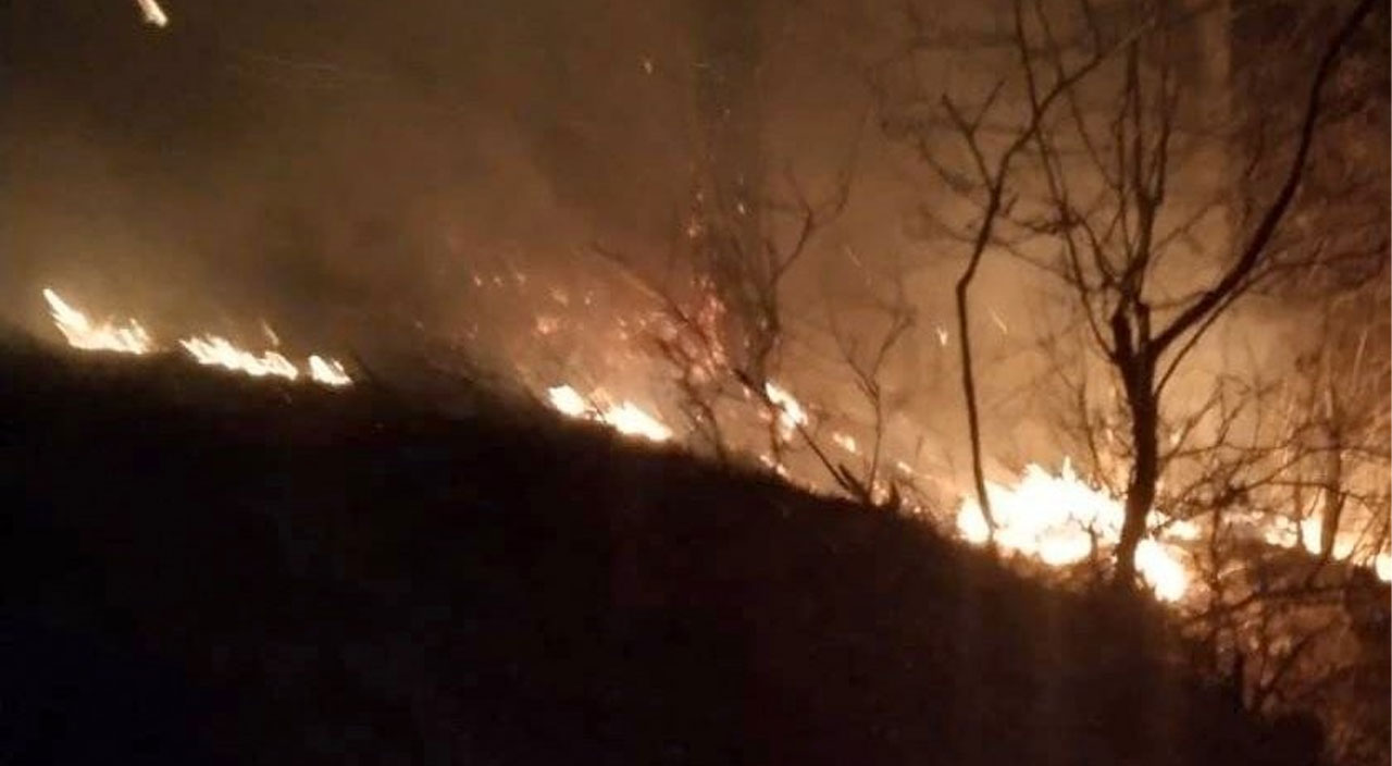 Bursa, Çanakkale ve Bilecik'te çıkan orman yangınları kontrol altına alındı