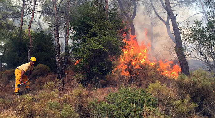Fethiye'de orman yangını! Alevler her geçen dakika büyüyor