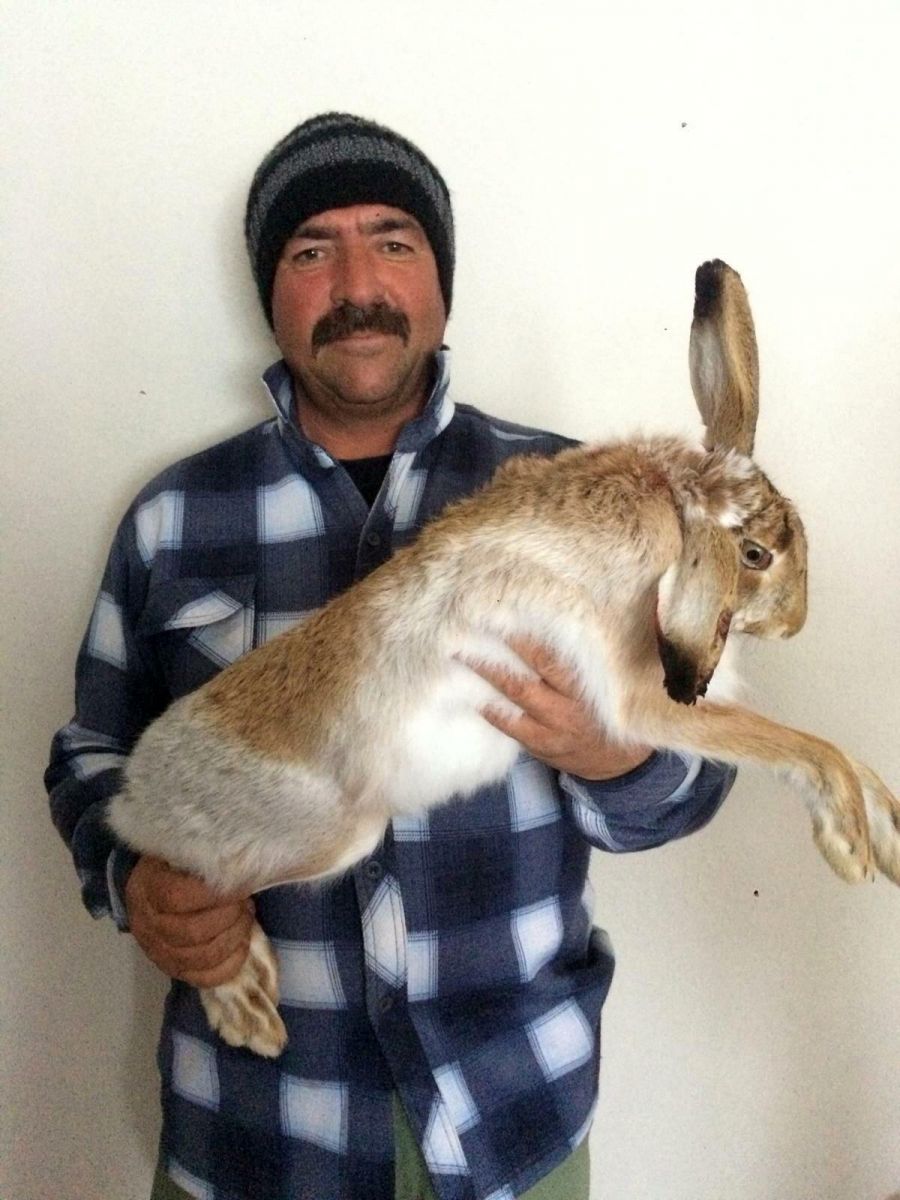 Ne vurduğunu görünce gözlerine inanamadı