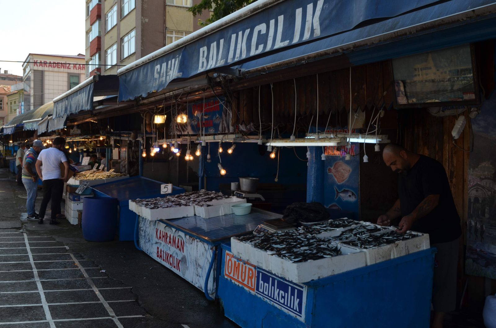 30 yılda sezonun ilk gününde ilk kez bu kadar az palamut yakaladılar