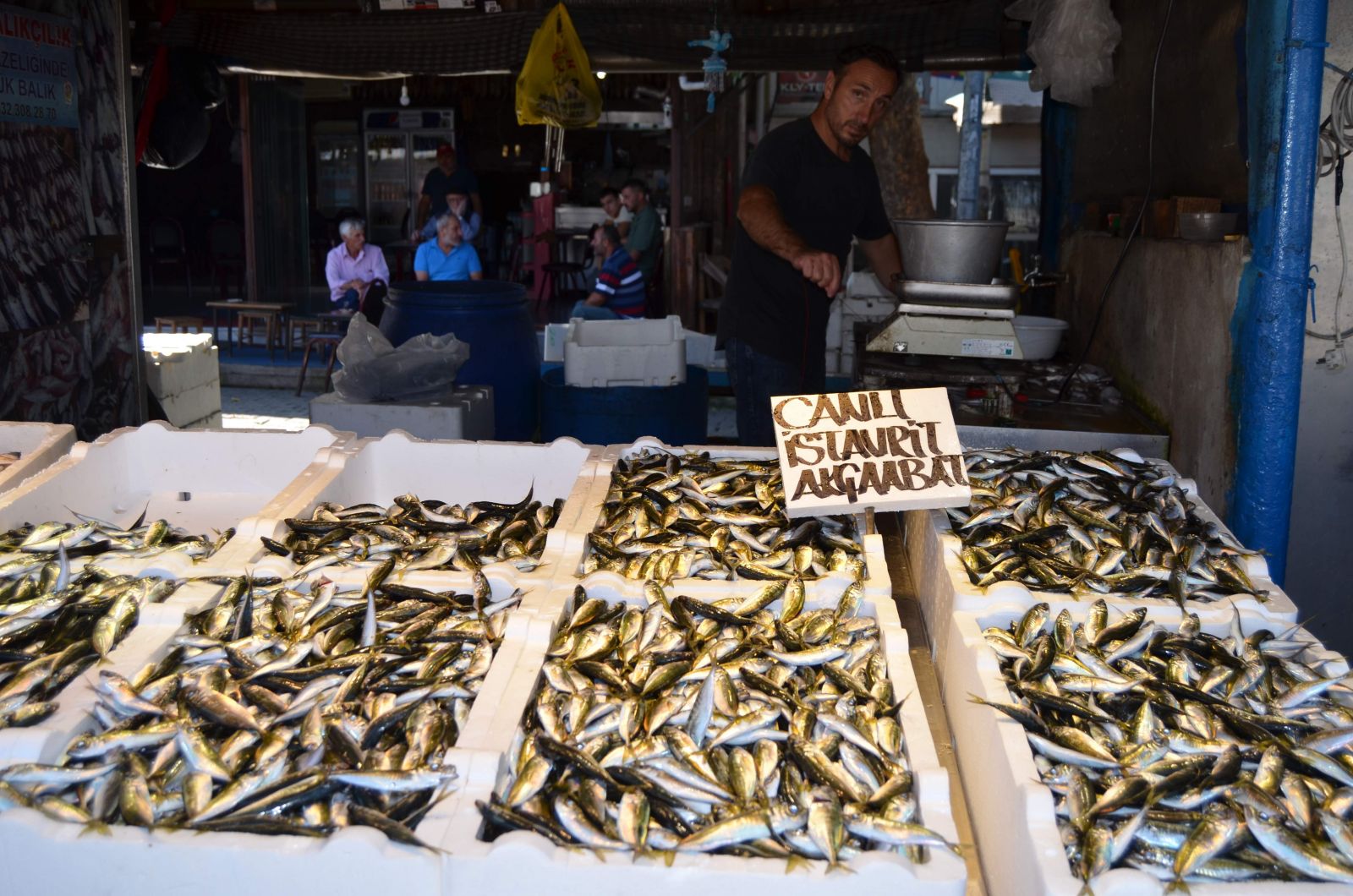30 yılda sezonun ilk gününde ilk kez bu kadar az palamut yakaladılar
