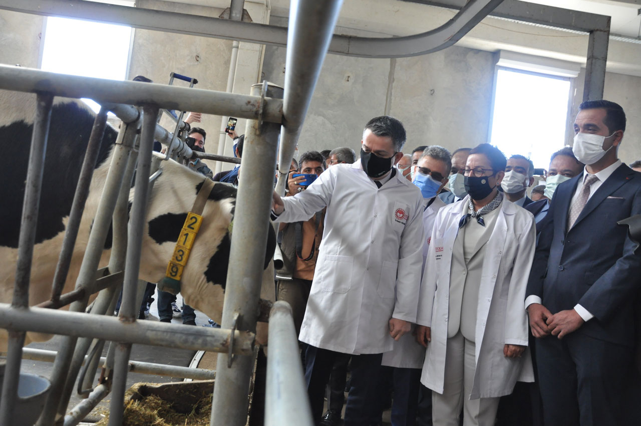 Bakan Pakdemirli, Hayvan Takip Sistemi'ni tanıttı | Hayvan Takip Sistemi nedir?