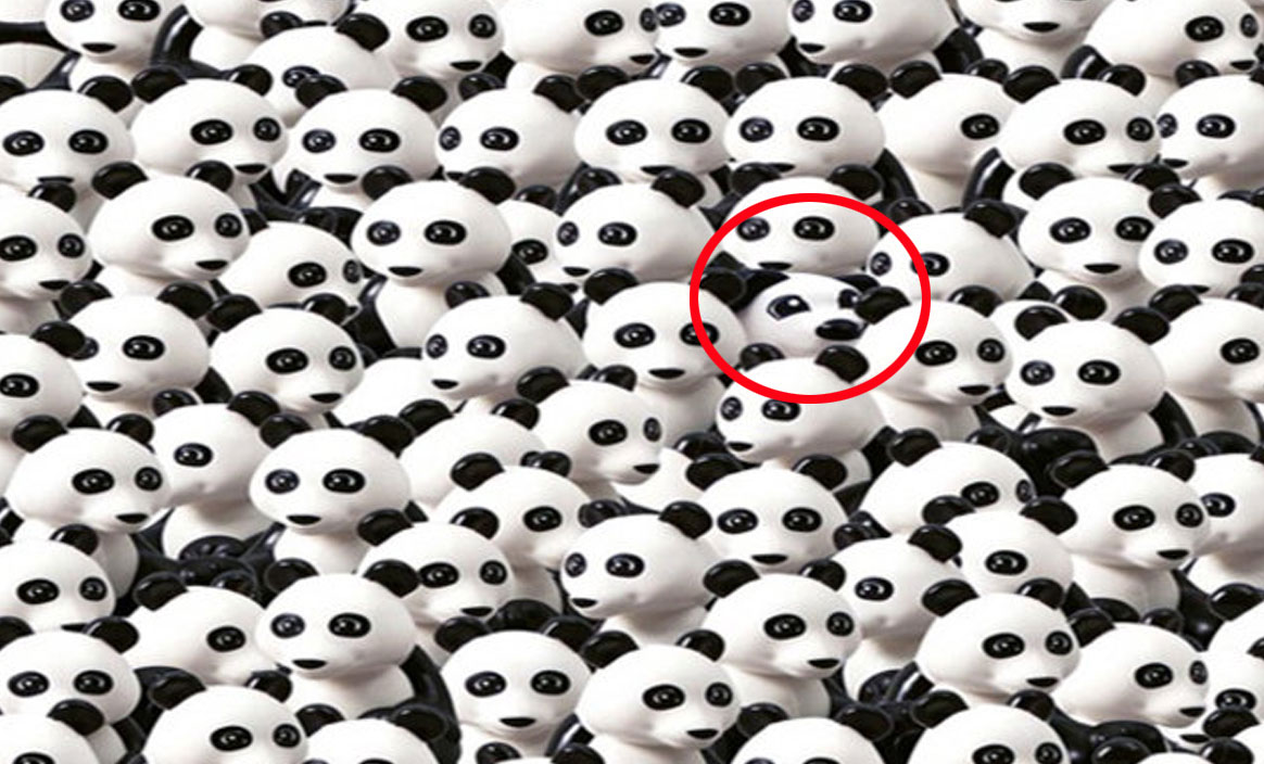 Sosyal medya, dondurmaların arasına gizlenmiş lolipopu bulmaya çalışıyor