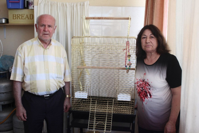 Evladı gördüğü papağanı kayboldu: Getirenin elini ayağını öpeceğim