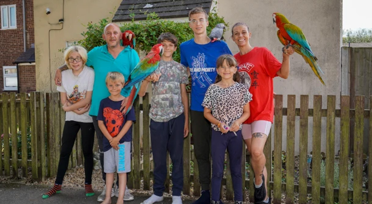 Besledikleri 8 papağan başlarına iş açtı! 5 çocuklu aile evden atılabilir