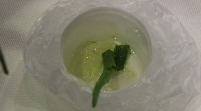 Bu parfüm evdeki radyasyonu yok ediyor