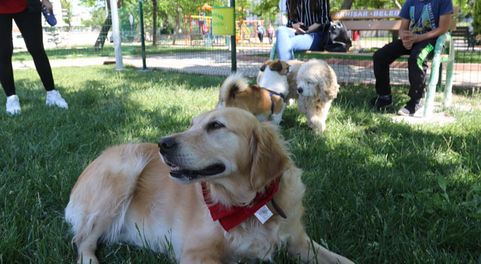 Akhisar'da 'köpek parkı' oluşturuldu