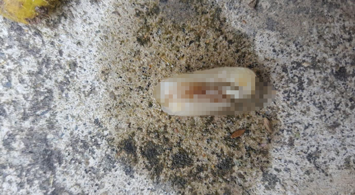 Kopan parmak işçinin yemeğinden çıktı: Fark etmeden yarısını yedi!