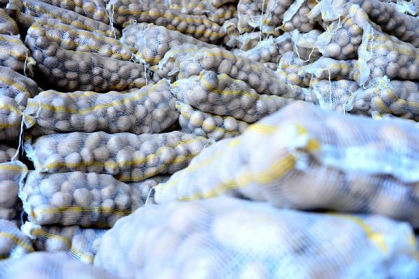 Adana sebze halinde soğanın kilosu 75 kuruşa indi