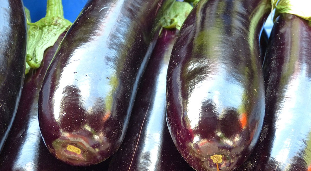 Saplarını çöp diye sakın atmayın! Basura kesin çözüm oluyor, 5 gün içinde hemoroidi bitiriyor