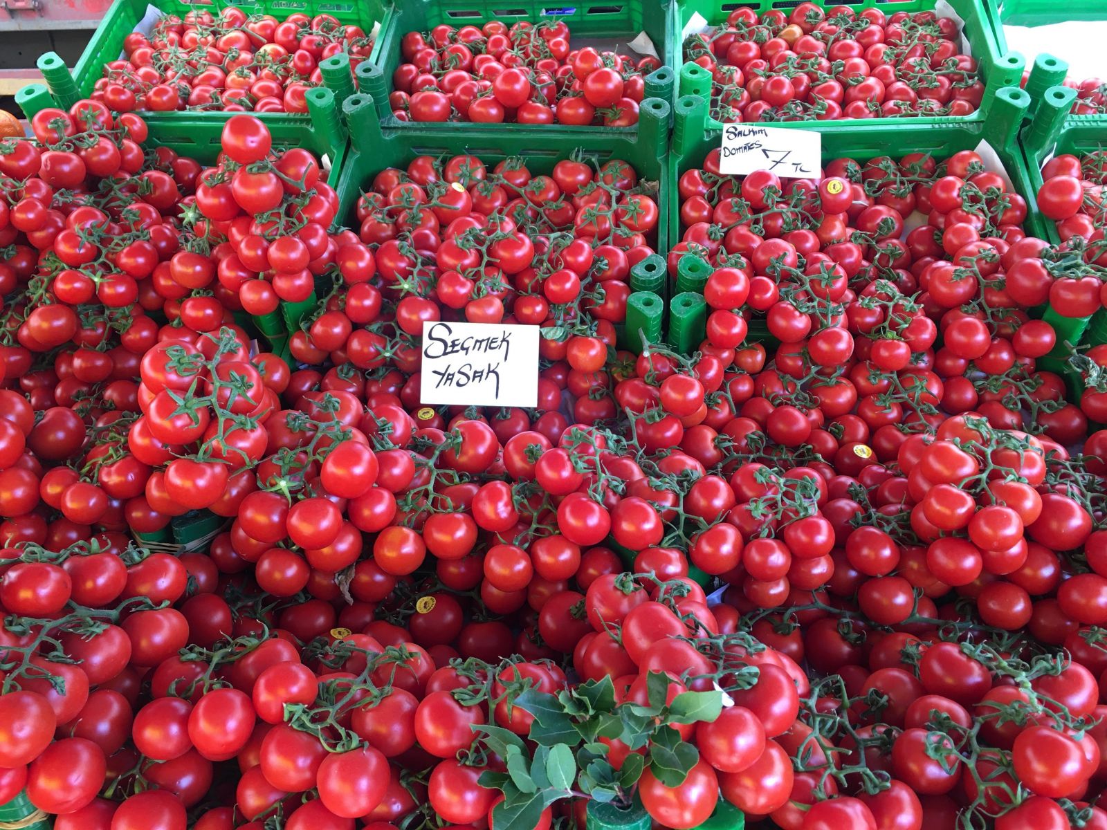 Pazarlarda yeni dönem başladı!