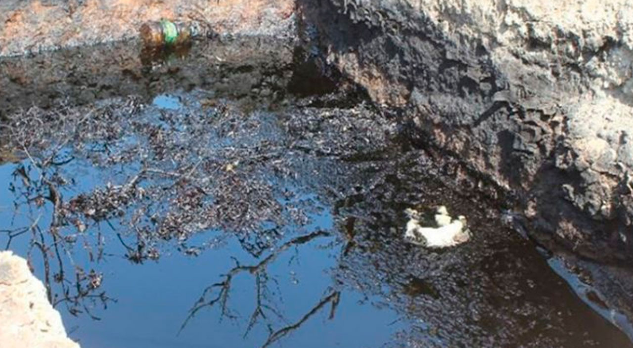 Türkiye'de bir bölgede daha petrol heyecanı yaşanıyor! Depremden sonra ortaya çıktı: Köylü 1. sınıf olduğunu iddia etti