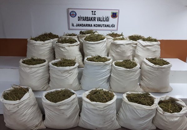 Diyarbakır’da uyuşturucu tarlası yok edildi
