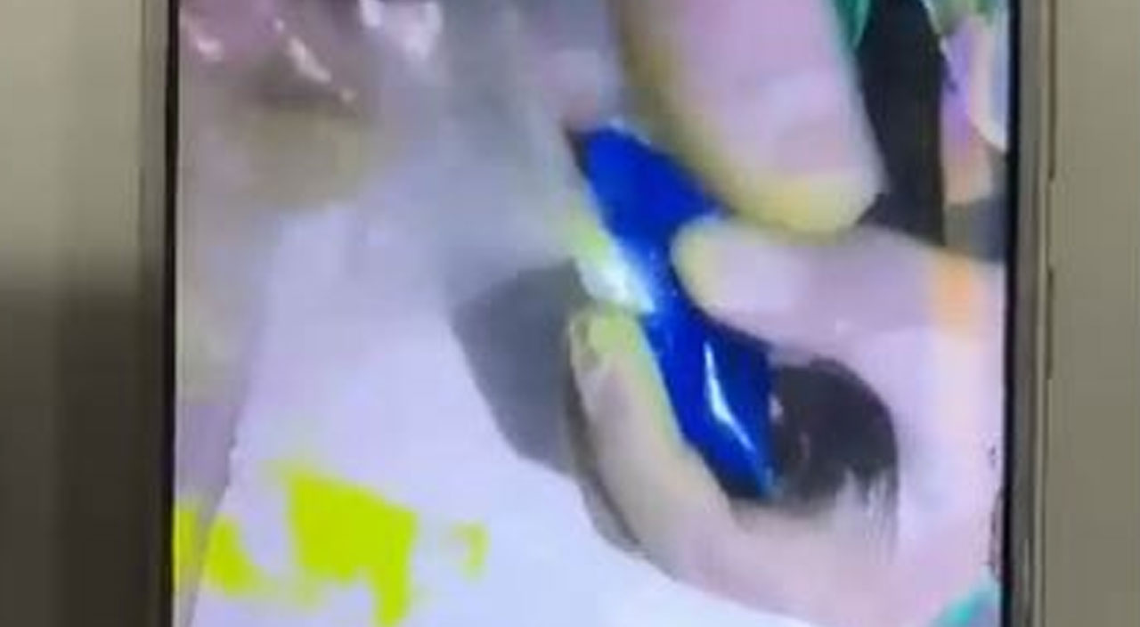 PKK’nın talimatıyla orman yakacaktı: Kıskıvrak yakalandı