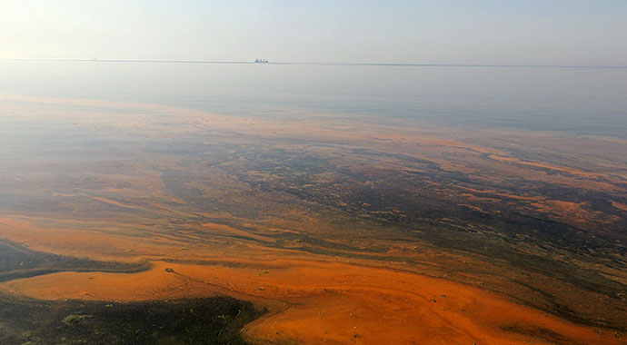 Planktonların çoğalmasıyla deniz kıyısı renklendi