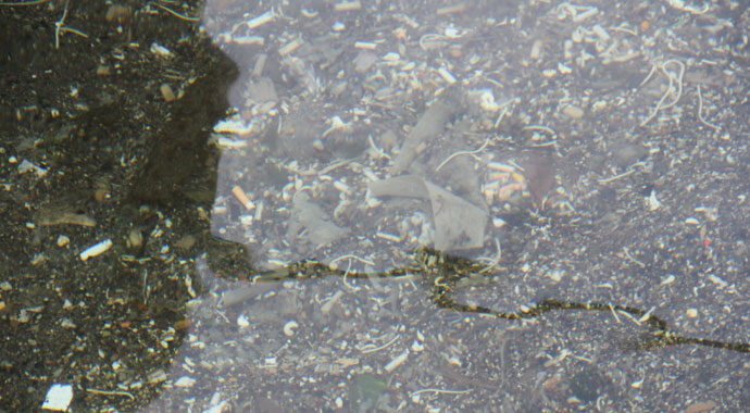 Gizli tehlike mikroplastik! Suda, havada, sofra tuzunda, maskede bile var