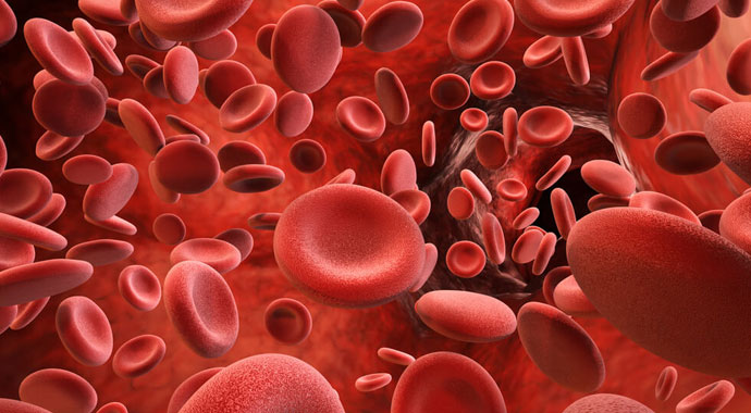 PLT Nedir? PLT Trombosit Yüksekliği Belirtileri ve tedavisi nasıl olur? | PLT Yüksekliği / Düşüklüğü belirtileri nedir? PLT Nedir? PLT Trombosit Yüksekliği Belirtileri ve tedavisi nasıl olur? | PLT Yüksekliği / Düşüklüğü belirtileri nedir?