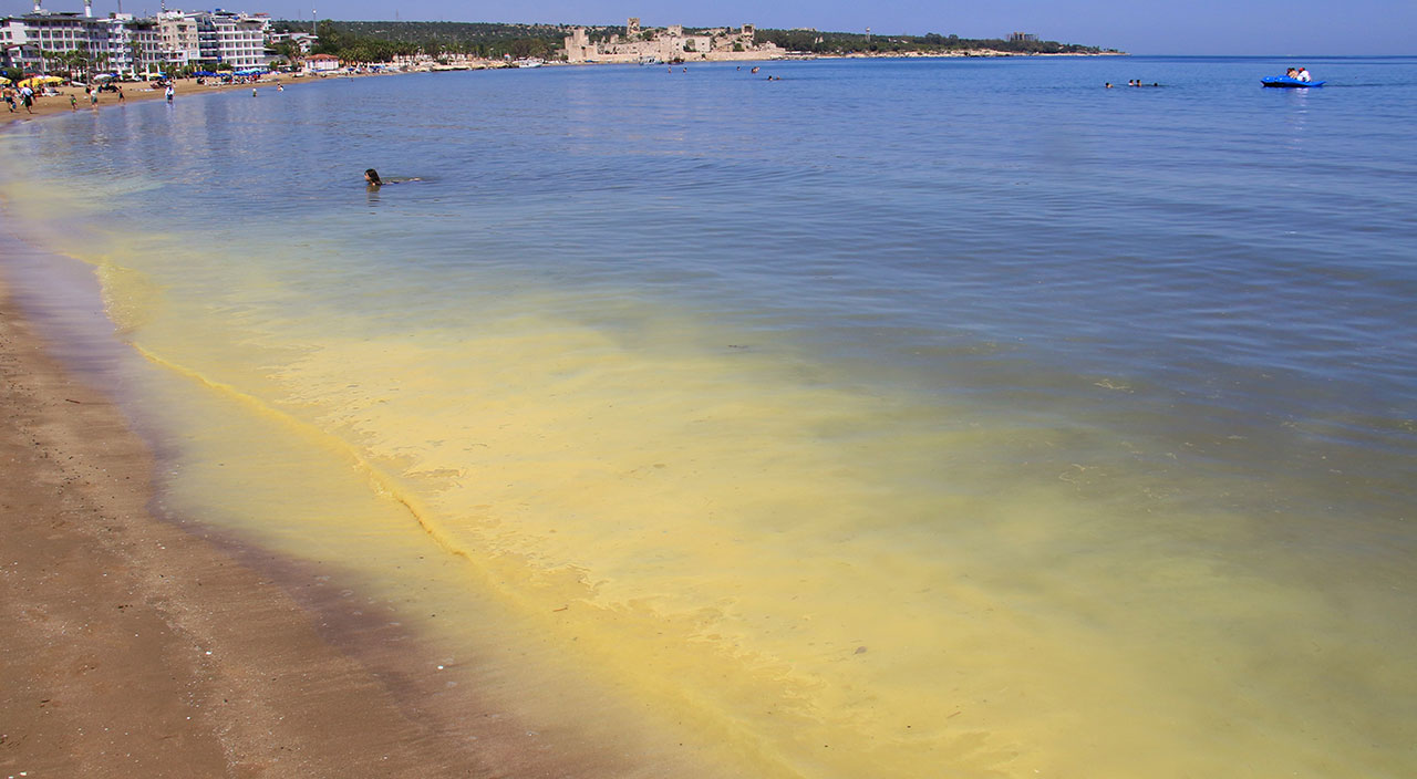 Herkes müsilaj zannetti, gerçek bambaşka çıktı: Binlerce arı telef oldu