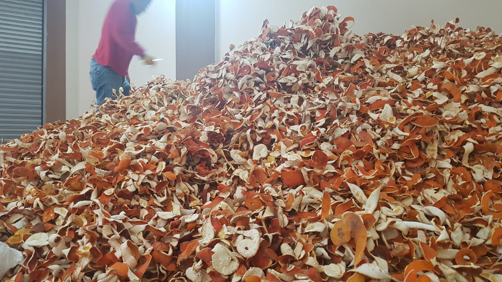 Portakalın kilosu 1 lira kabuğu 6 lira