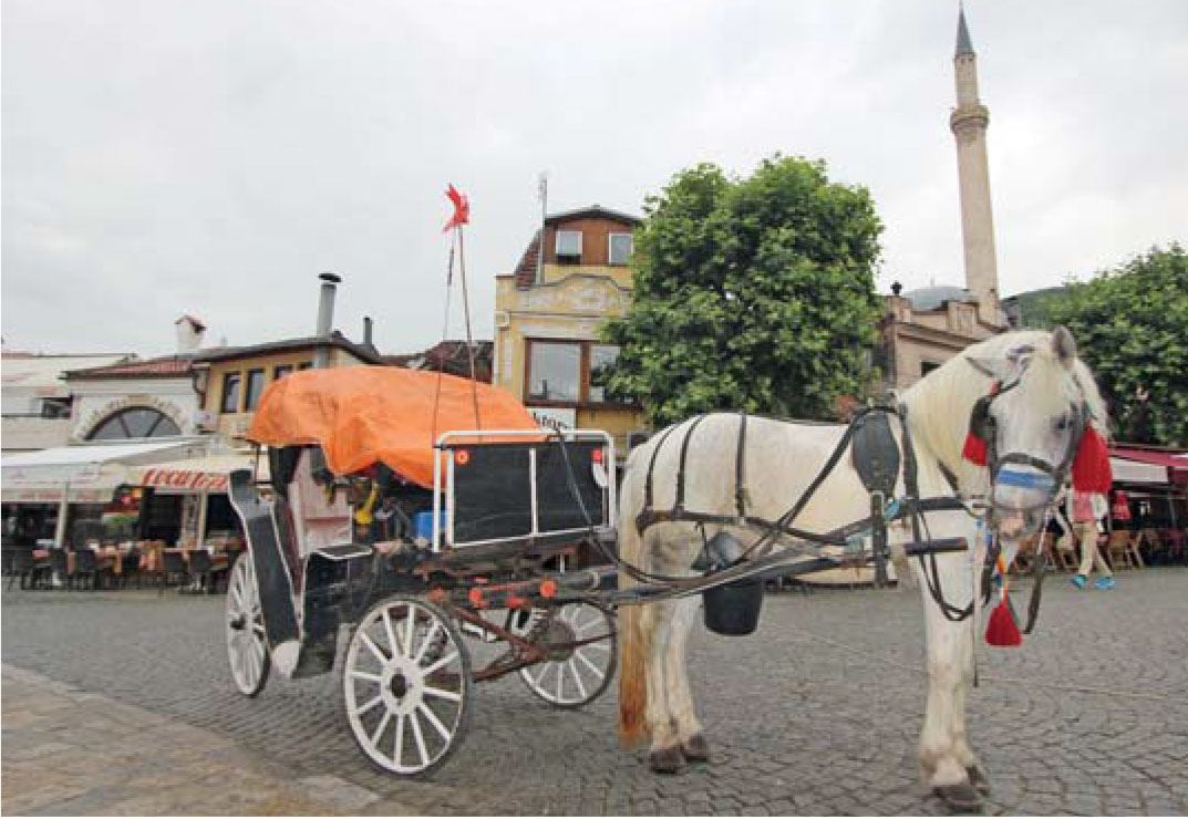 Şiir gibi şehir Prizren