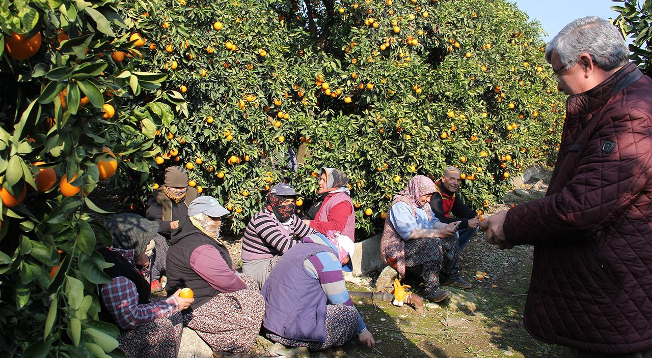 Dalında 1,5 TL, zincir markette 5,90!