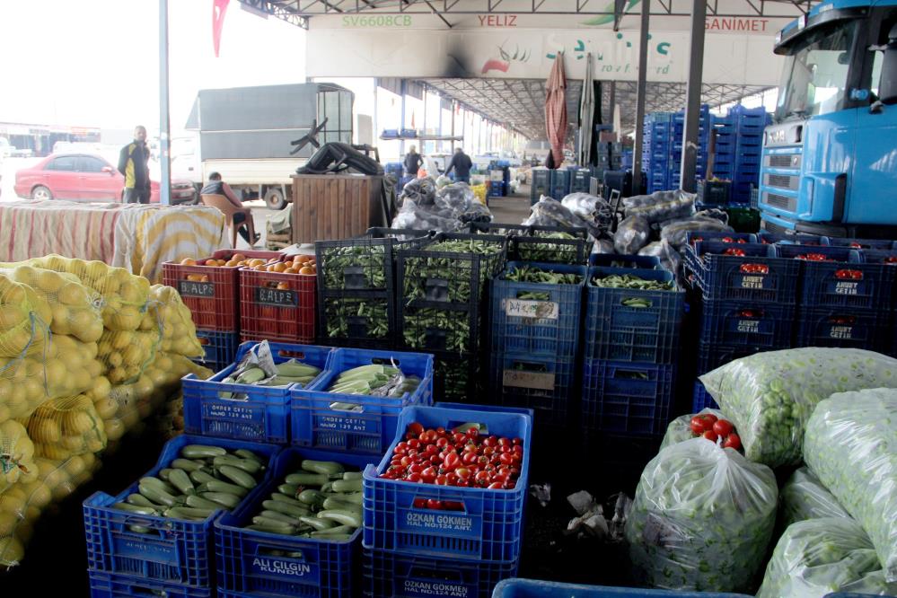 Vatandaşa müjde! Antalya'da ısınan hava üretimi arttırdı, fiyatlar düşmeye başladı