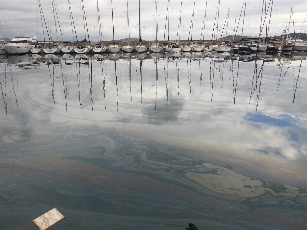 İzmir'de mazot sızması: Liman kapatıldı