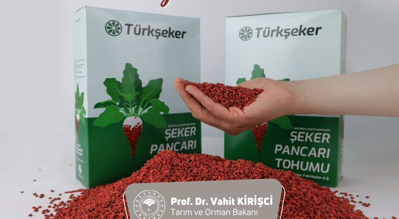 Türk akademisyenler geliştirdi: Hastalıklara dayanıklı şeker pancarı!