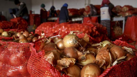 Bakan Albayrak talimat verdi! Harekete geçildi...