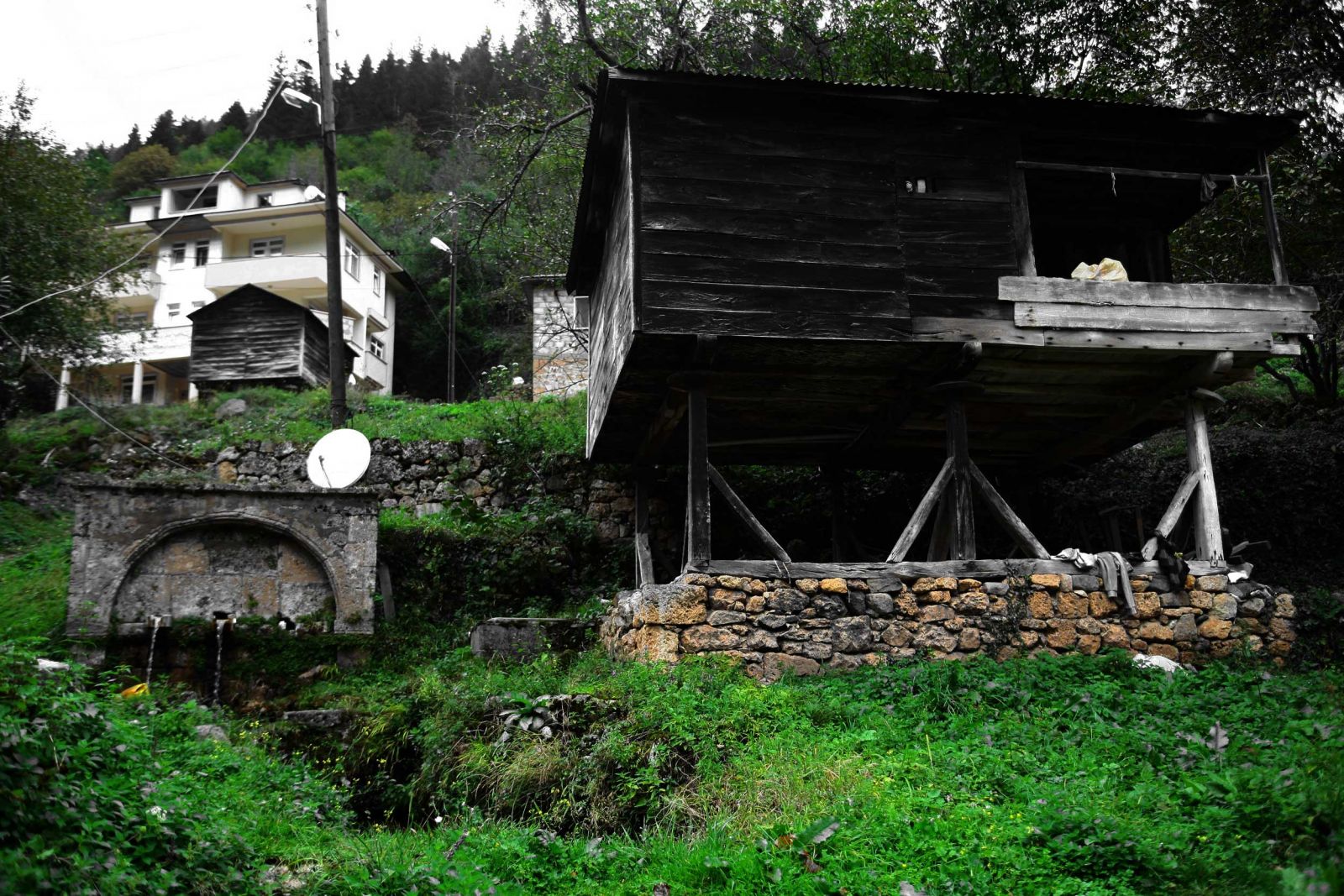 20 bin Yağlıdereli'nin ABD’ye göç etme hikâyesi