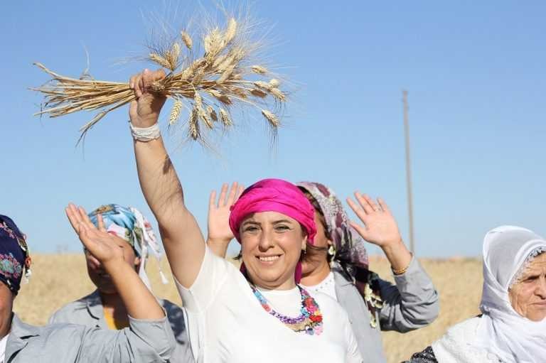 Bu başarı öyküsü Türk tarımını dünya birincisi yapacak