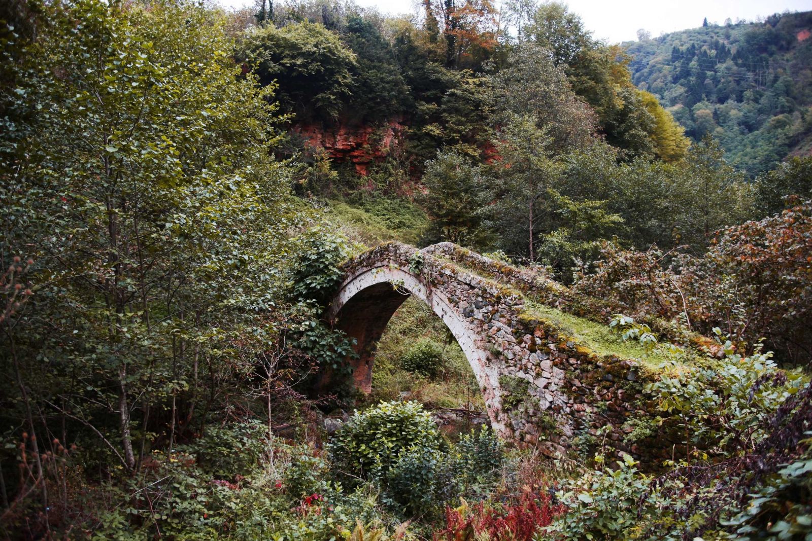 20 bin Yağlıdereli'nin ABD’ye göç etme hikâyesi