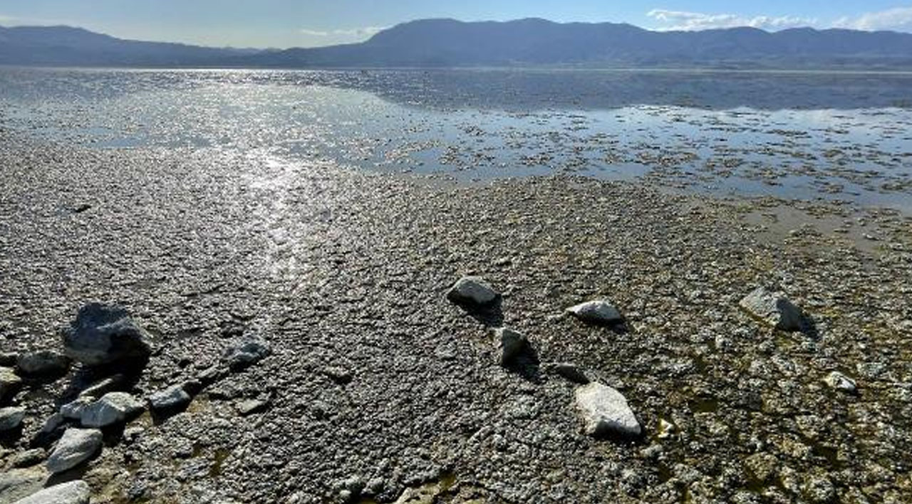 Burdur Gölü'nde suyun rengi değişti