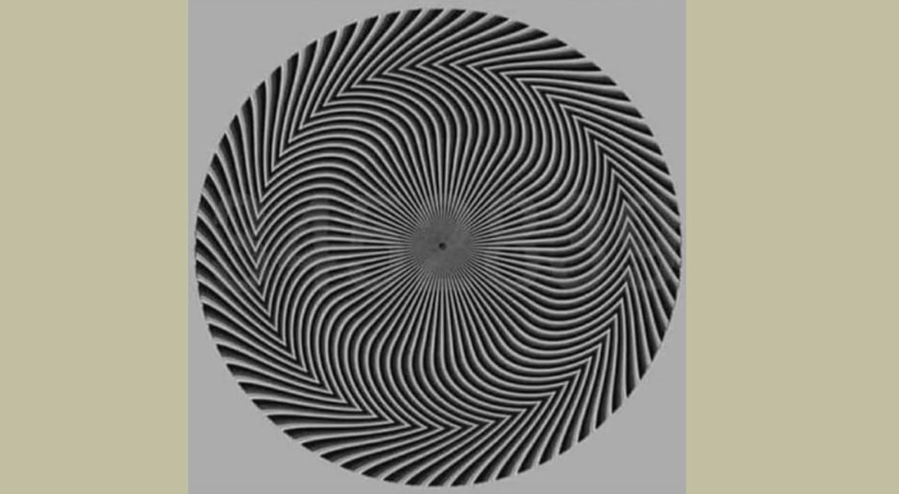 Sosyal medya ikiye bölündü: Kedi mi görüyorsunuz, geyik mi?