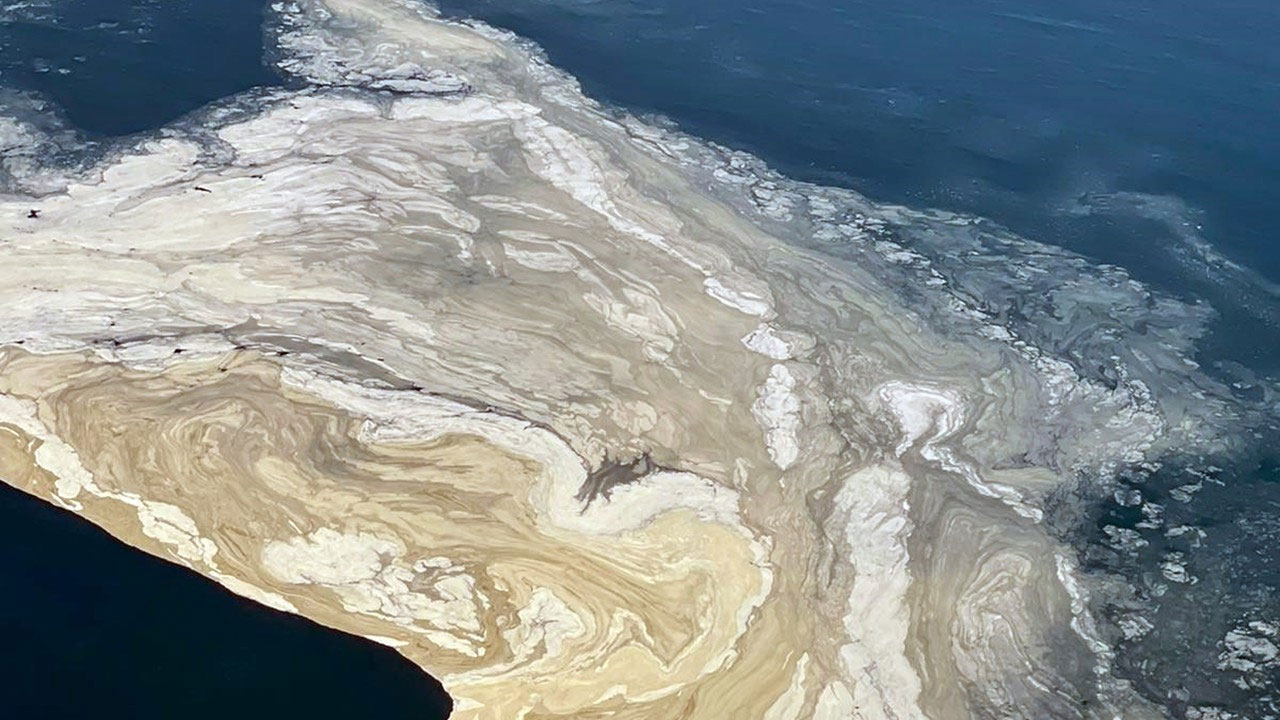 Marmara’ya özel koruma