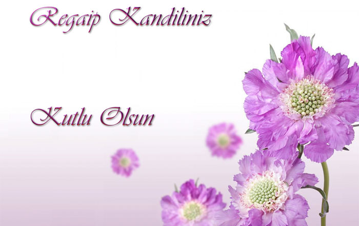 Regaip Kandili Mesajları Duaları | En Güzel Regaip Kandili Mesajları ve SMS'leri