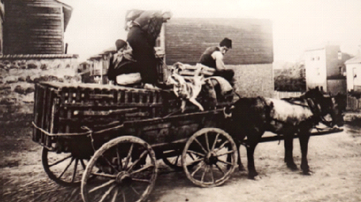 Köpekli köyün mavalcısı Dr. Remlinger