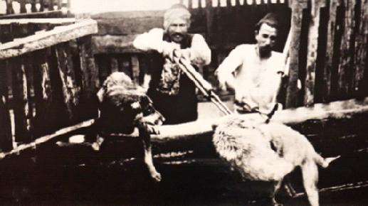 Köpekli köyün mavalcısı Dr. Remlinger