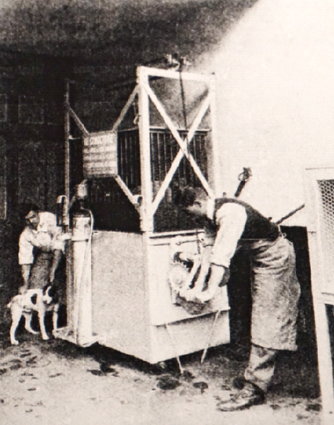 Köpekli köyün mavalcısı Dr. Remlinger