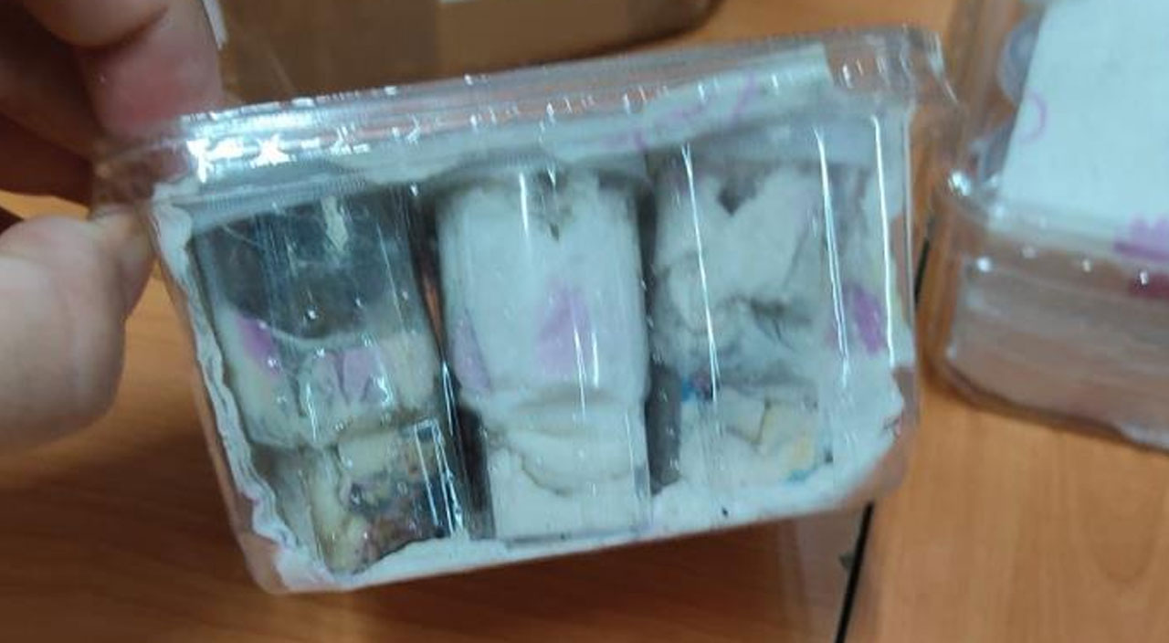 Yurda girişi yasak… Tüplerin içine koyulmuş, hepsi canlı ele geçirildi