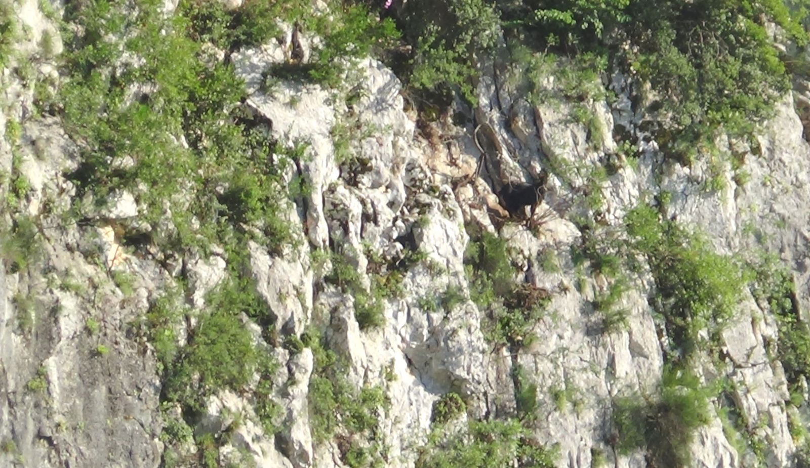 14 gündür kurtarılmayı bekliyor