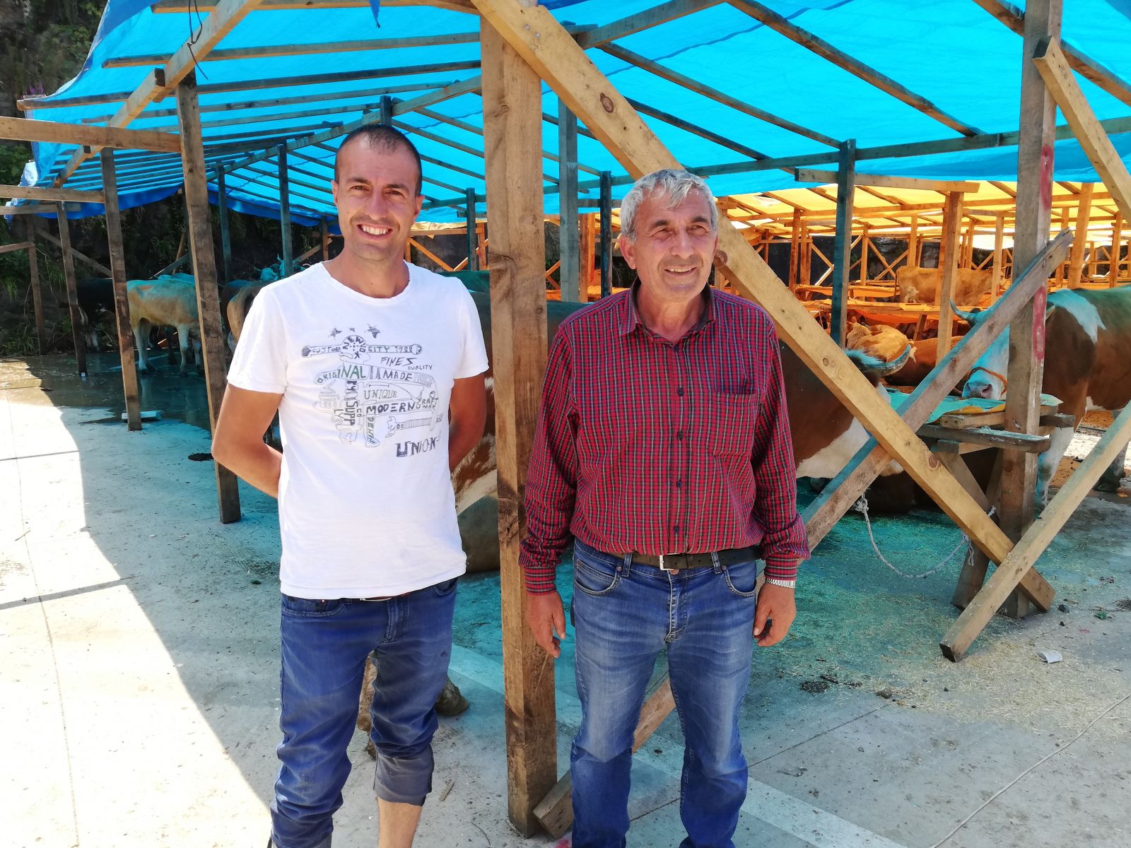 Rize'de kurbanlıklar pazardaki yerini almaya başladı