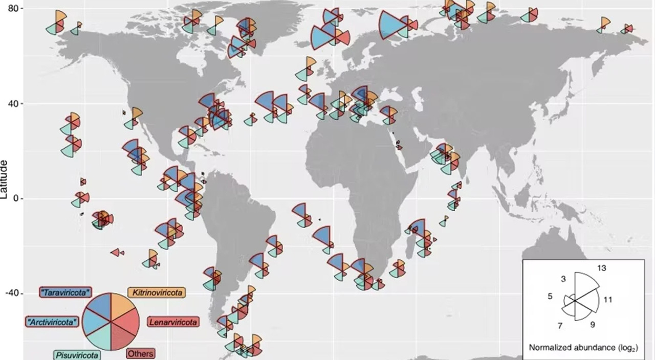 Bilim insanları 5 binden fazla yeni virüs keşfetti